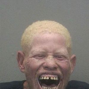 Meet your Posher, Bradley